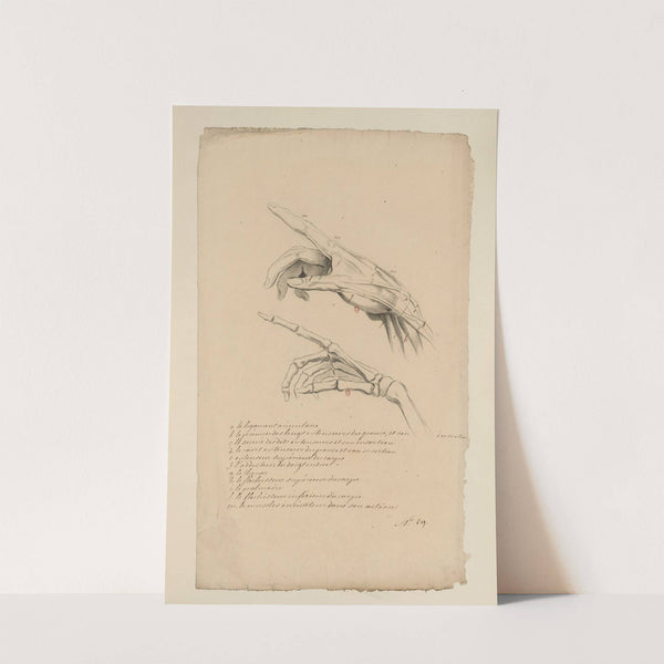Cahiers d’Anatomie Pl.41 (18th Century) by Charles Monnet