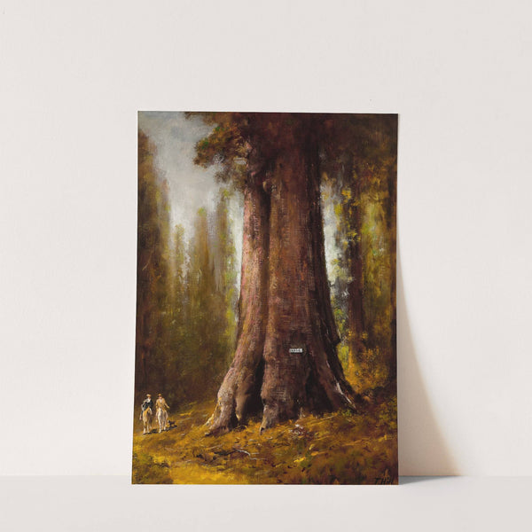 California Redwood Trees by Thomas Hill
