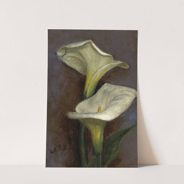 Calla Lilies by Louis Comfort Tiffany