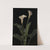Calla Lilies by George Cochran Lambdin