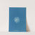 Callithamnion roseum by Anna Atkins