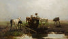 Calves at a trough