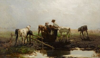 Calves at a trough