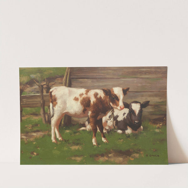 Calves Outside a Barn by David Gauld