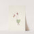Calypso. Cytherea bulbosa (1925) by Mary Vaux Walcott