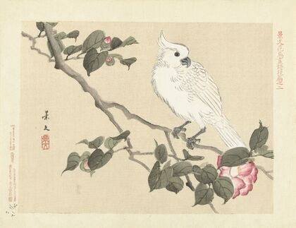 Camellia and yellow-crested cockatoo (1892)