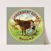 Camembert extra