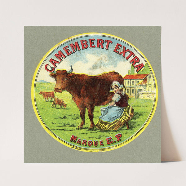 Camembert extra
