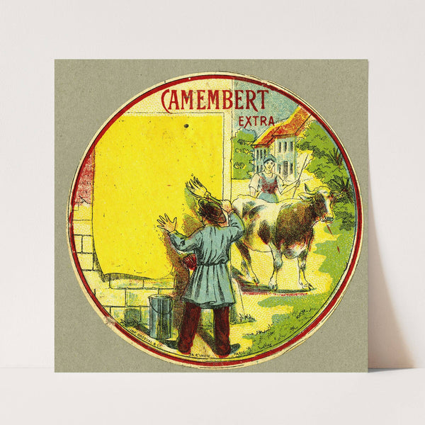 Camembert extra