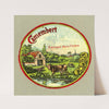 Camembert extra