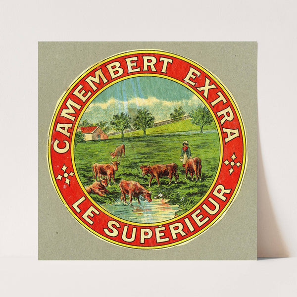 Camembert extra le supérieur