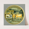 Camembert les paquerettes