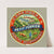 Camembert petit fermier