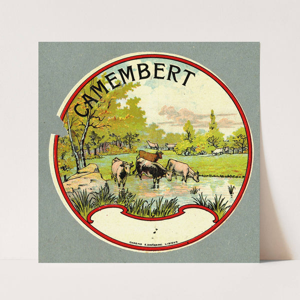 Camembert