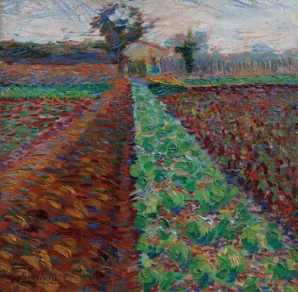Campo con alberi