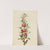Canada Buffaloberry (Lepargyrea canadensis) (1916) by Mary Vaux Walcott