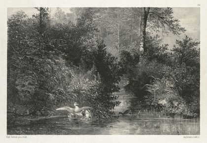 Canards (Ducks) (c. 1860)