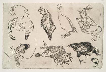 Canards, poissons, etc