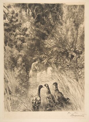 Canards surpris (1882)