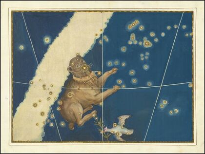 Canis Major (1603)