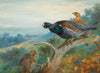 Capercaillie (1931)
