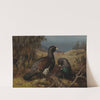 Capercaillie Cocks by Ferdinand von Wright