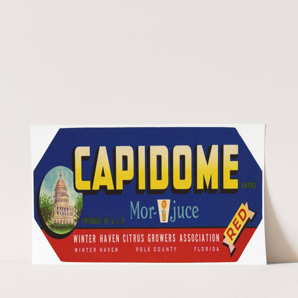 Capidome Brand Citrus Label (1930-1950)