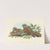Caprimulgus Ruficollis by John Gould