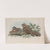 Caprimulgus ruficollis. Red-necked Goatsucker. (1862-1873) by John Gould