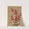 Cardinal flower (1886) by Ellen Fisher