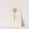 Carnation (1692) by Magdelena Rosina Funck