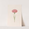 Carnation (1692) by Magdelena Rosina Funck