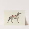 Carousel Dog by Dorothy Handy