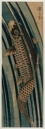 Carp Ascending a Waterfall (early or mid-1830s)