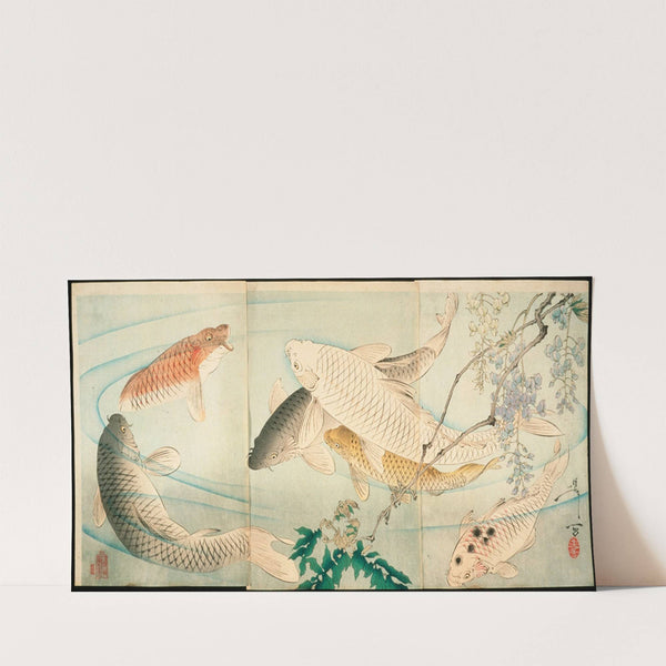 Carp with Wisteria (1889) by Tsukioka Yoshitoshi