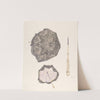 Carriage Sunshade by Arelia Arbo