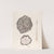 Carriage Sunshade by Arelia Arbo
