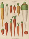 Carrots (1876-1886)