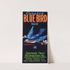 Caruso’s Blue Bird Brand Fruit Label (1930-1950)