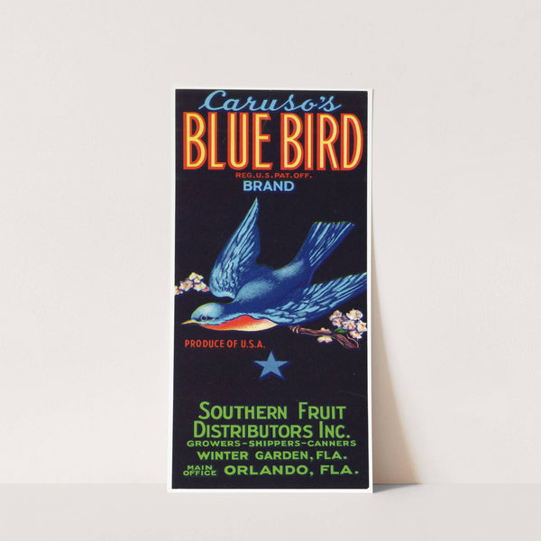 Caruso’s Blue Bird Brand Fruit Label (1930-1950)
