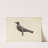 Carved Bird, Garden Decoration by Robert Pohle
