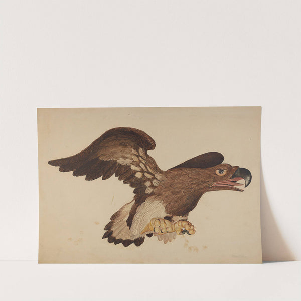 Carved Wooden Eagle by Robert Gilson