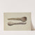 Carved Wooden Spoon by Conrado Barrio