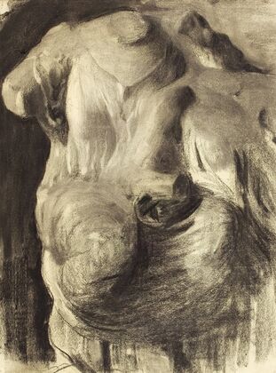 Cast Study, Draped Torso
