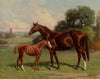 Castalia and Colt by Uncas (1894)