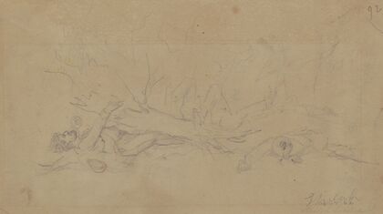 Casualties at Shiloh, Tennessee, April 7, 1862