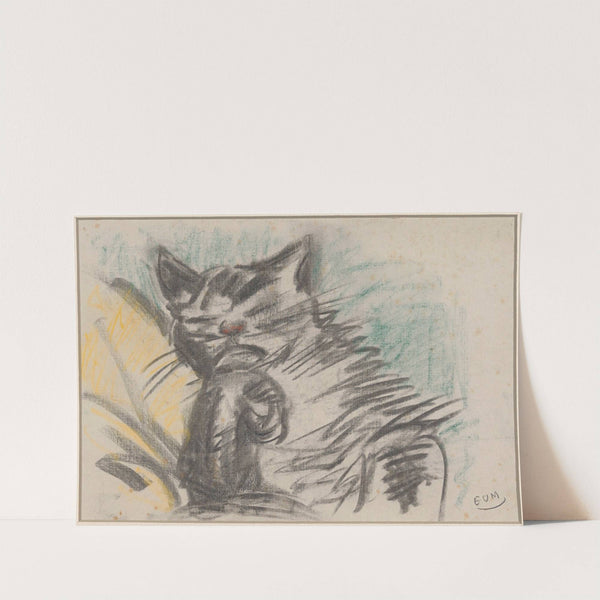 Cat by Eugeen Van Mieghem