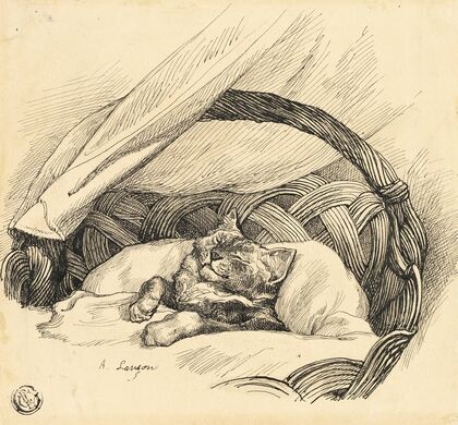 Cat Asleep in Basket