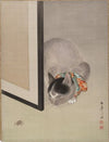 Cat Watching a Spider (ca. 1888–92)