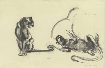 Cats